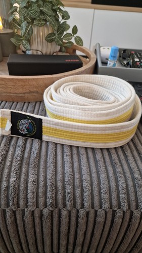 Martial arts belt white - martial, with