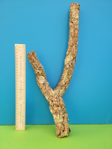 Cork bark branch 48cm - bark,