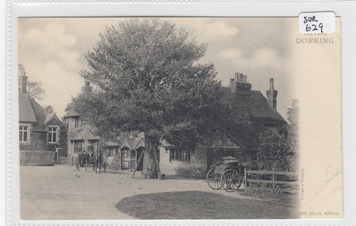 Abinger hatch near dorking - abinger,