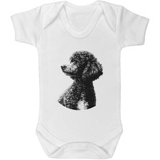 'Miniature Poodle Portrait'