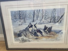 David Totten FramePrint Down Time Alaskan Malamute/husky/huskies/Alaska Sled dog