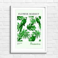 Colorful Macaw Parrots Amidst