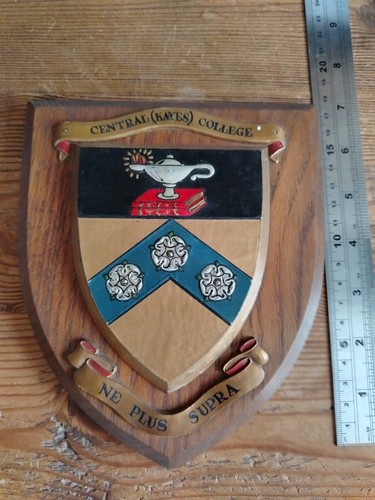 Central kayes college - kayes,
