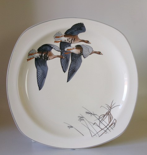 Midwinter peter scott wild - midwinter,