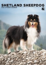 Shetland Sheepdog Calendar 2026