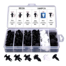 100Pcs Car fixing clip kit