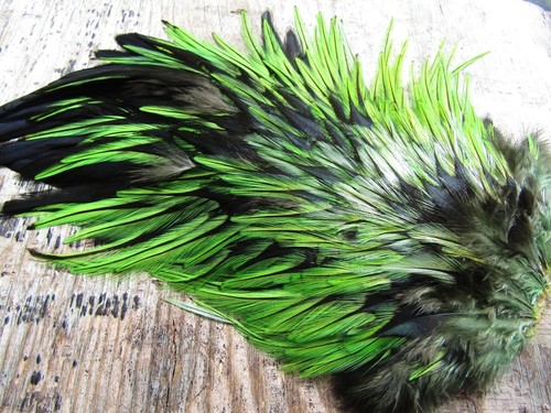 Irish fly supplies domestic - fly,