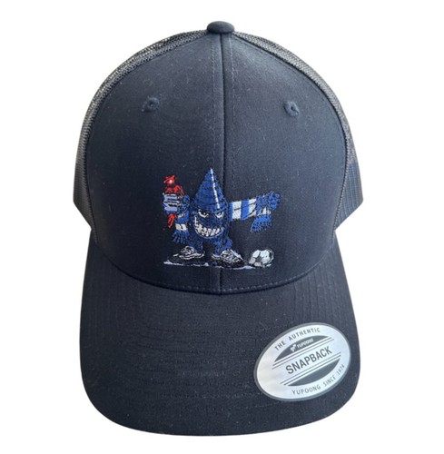 Everton baseball cap - everton,