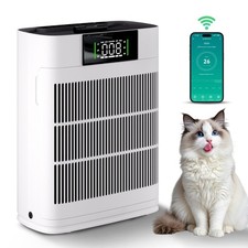 Air Purifier Home HEPA Large