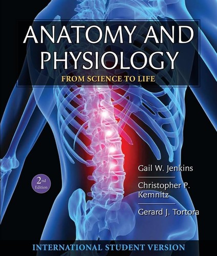 Anatomy and physiology - anatomy, from