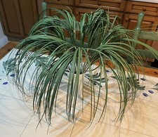 24 Stems of Artificial Onion/Bear Grass