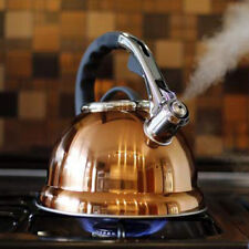 Copper 3.5 Litre Stainless Steel Whistling Kettle Gas Electric & Induction (DE)