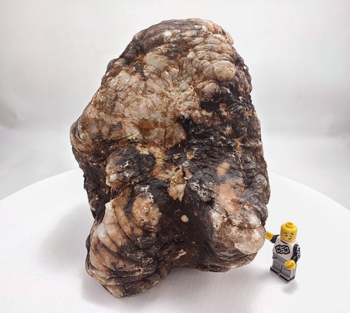 Unopened large geode - 7.5",