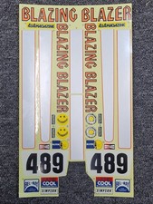 Tamiya vintage Original Blazing Blazer "Partial Sticker Decal Sheet" Ultra Rare!