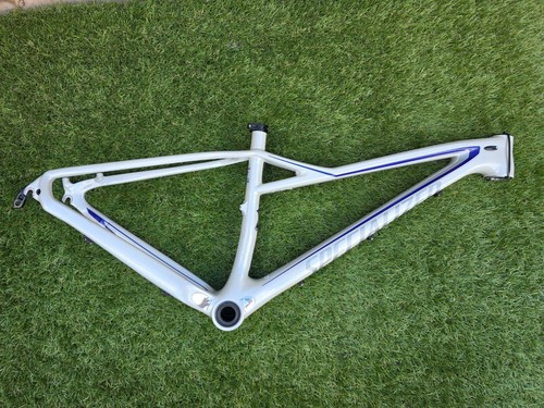 Specialized fate expert carbon - specialized,