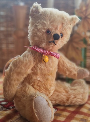 Old vintage teddy bear - teddy,