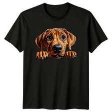 Cute Rhodesian Ridgeback Puppy