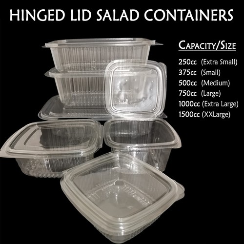 Clear plastic hinged - clear,