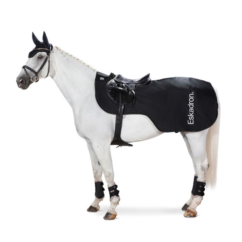 Eskadron basics riding - riding, blanket