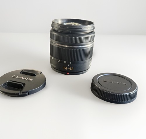 Panasonic lumix vario - g,