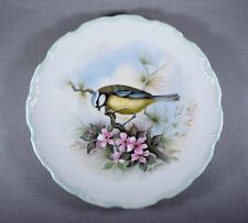 VINTAGE ROYAL ALBERT WOODLAND BIRDS COLLECTION BLUE TITMOUSE BIRD PLATE BOXED