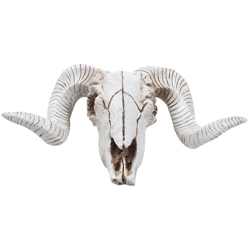Resin sheep head skull - resin,