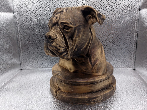 American bulldog bust - american,