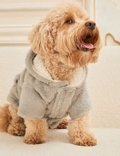 Small, X-small Grey Dog