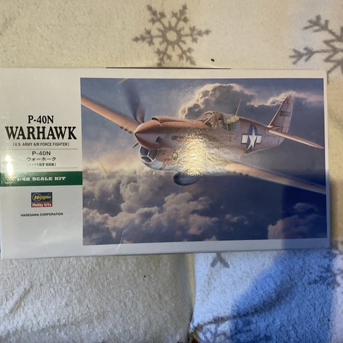 Hasegawa 40n warhawk kit - hasegawa,