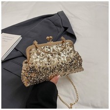 Shiny Ladies Clutch Bag