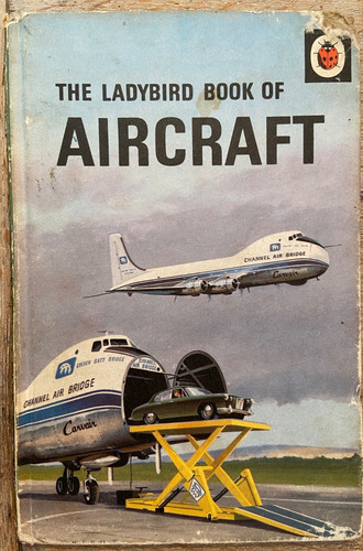 The ladybird book - book, of