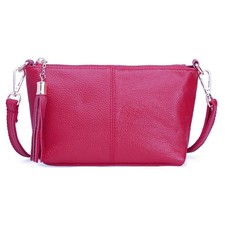 Boutique tassel zip real leather crossbody Woman smart plain small messenger bag