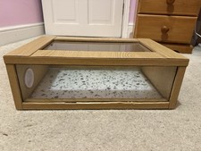 Reptile Snake and Small Lizard