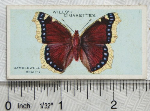 1927 wills british butterflies - wills,