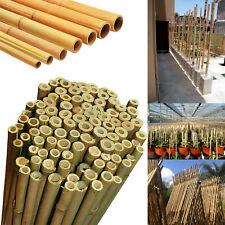 Bamboo Canes Strong Heavy Duty Thick Pole Plants Garden Professional Supported