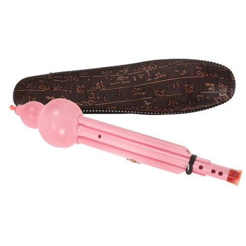 Student flute recorder with - flute,