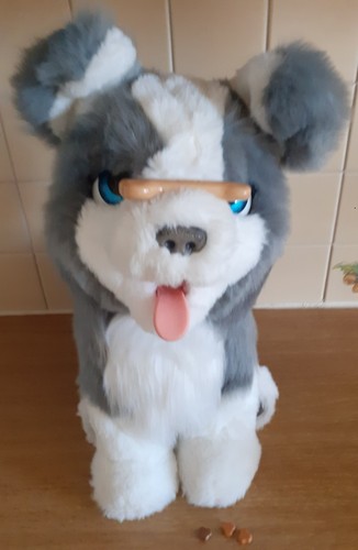 Furreal friends ricky the - ricky,