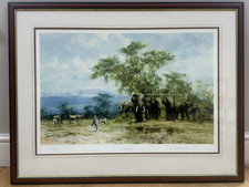 "Amboseli" - David Shepherd