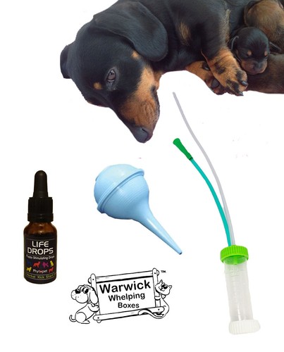 Puppy survival kit exclusive - puppy,
