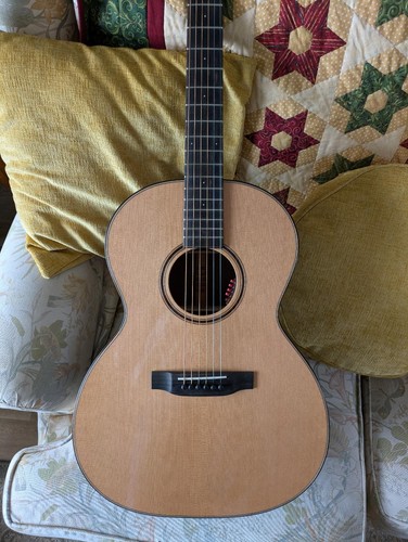 Auden chester guitar - auden,