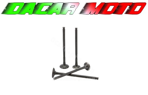 Pair series valves exhaust and - exhaust,