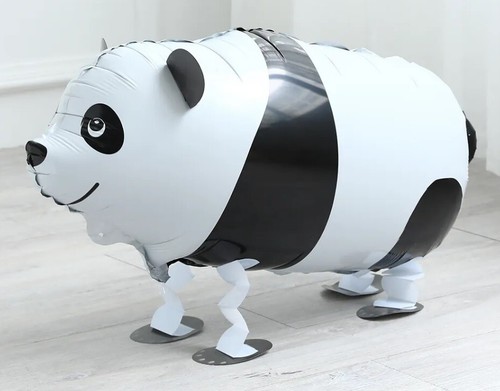 Panda balloon walking - panda, pet