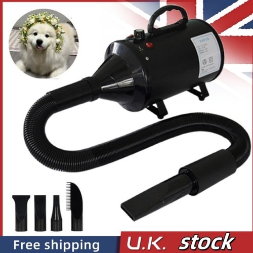 Pet dog cat hair dryer - cat,