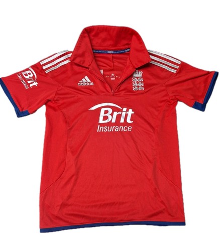 England cricket 2013 odi one - england,