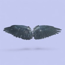 Real Pair Of Wings, Occult