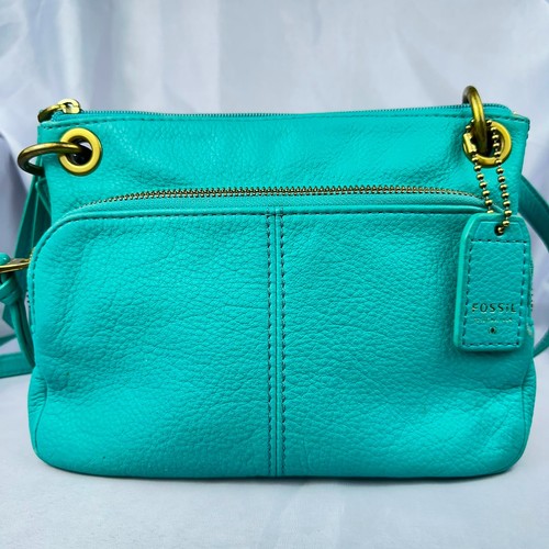 Fossil turquoise teal - fossil,