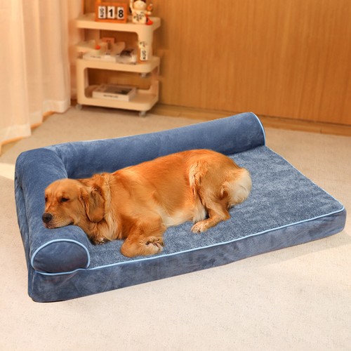 Extra large dog - dog, pet