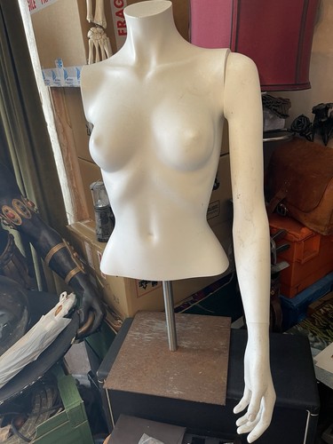 Female torso small mannequin - female,