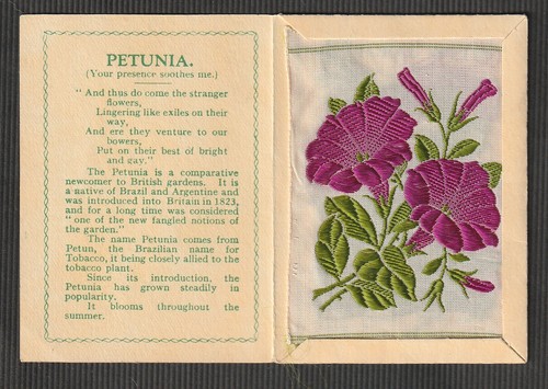 Wix kensitas tobacco silk - tobacco,