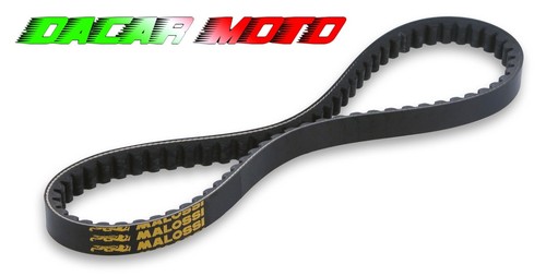 Belt malossi motors miami - wt,